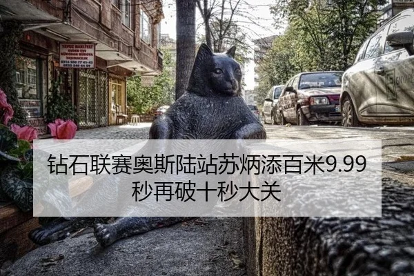 zuan-shi-lian-sai-ao-si-lu-zhan-su-bing-tian-bai-mi-miao-zai-po-shi-miao-da-guan-2-932.jpg