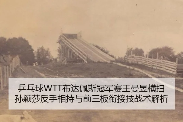 ping-pang-qiu-bu-da-pei-si-guan-jun-sai-wang-man-yu-heng-sao-sun-ying-sha-fan-shou-xiang-chi-yu-qian-san-ban-xian-jie-3-787.jpg